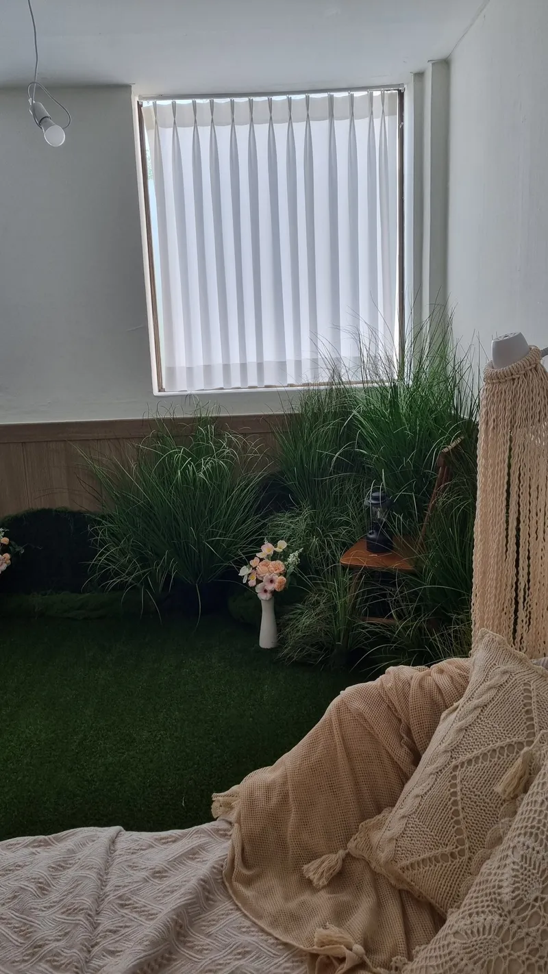 창가 화분과 담요